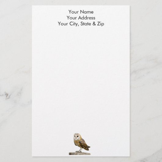 Barn Owl Briefpapier (Voorkant)