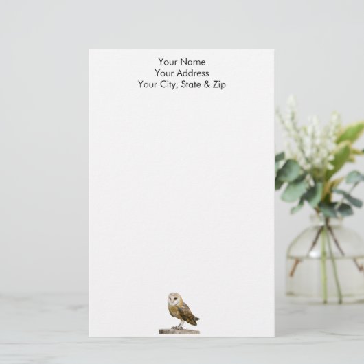Barn Owl Briefpapier (Staand voorkant)