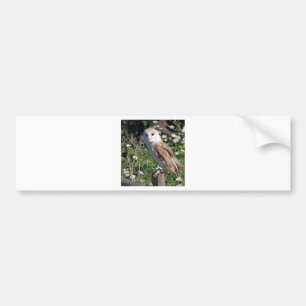 Barn Owl Bumpersticker
