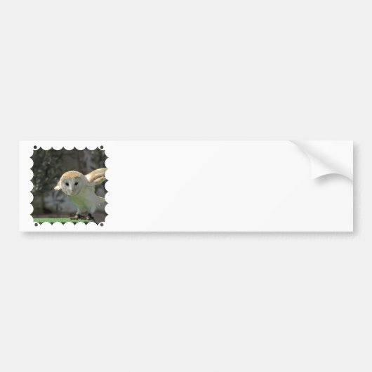 Barn Owl Bumpersticker (Voorkant)