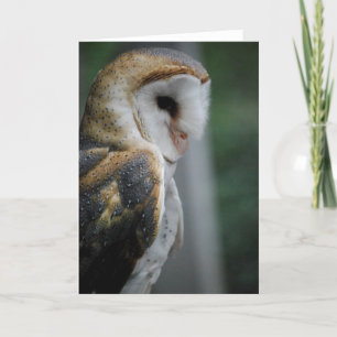 Barn Owl Card Kaart