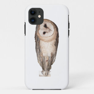 Barn owl iPhone 11 hoesje