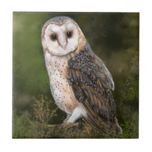 Barn Owl Ceramic Tile Tegeltje