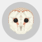 Barn Owl Classic Round Sticker (Voorkant)