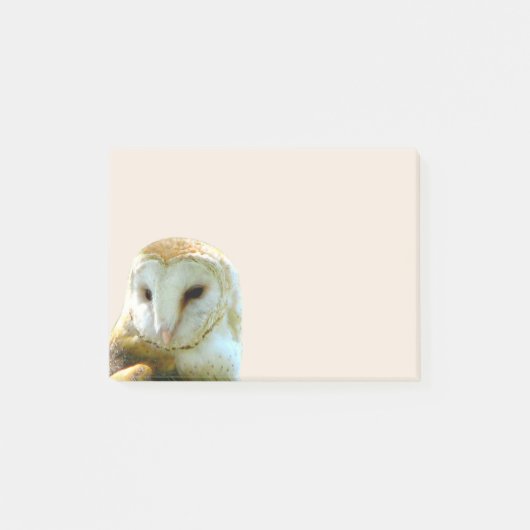 Barn Owl Corner Post-it® Notes (Voorkant)