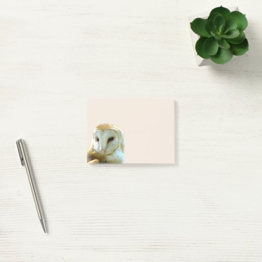 Barn Owl Corner Post-it® Notes (Kantoor)