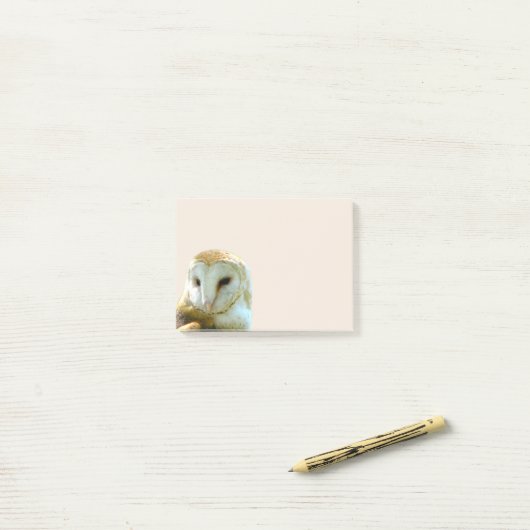 Barn Owl Corner Post-it® Notes (Op bureau)