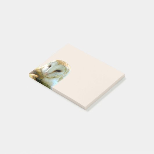Barn Owl Corner Post-it® Notes (Schuin)