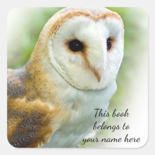Barn Owl "Dit boek behoort tot" sticker (Voorkant)