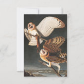 Barn Owl door John James Audubon Bedankkaart (Voorkant)
