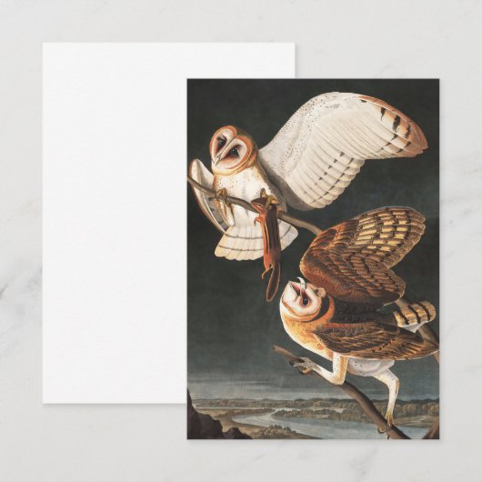 Barn Owl door John James Audubon Bedankkaart (Voorkant / Achterkant)