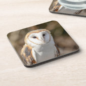 Barn Owl Drankjes Onderzetter (Linkerzijde)