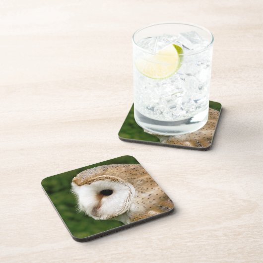 BARN OWL DRANKJES ONDERZETTER (Rechterzijde)