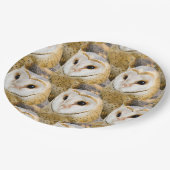 Barn Owl Faces Papieren Bordje (Gekanteld)