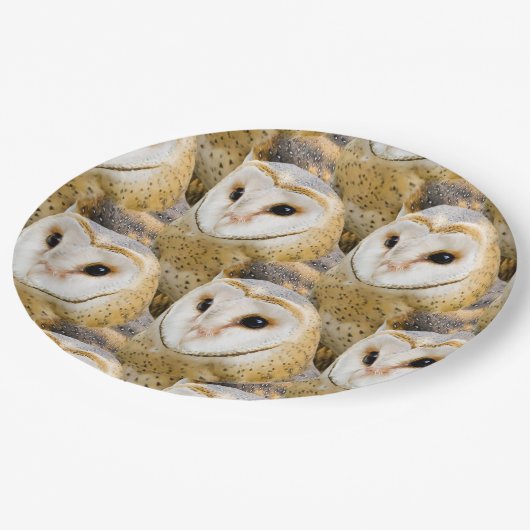 Barn Owl Faces Papieren Bordje (Gekanteld)