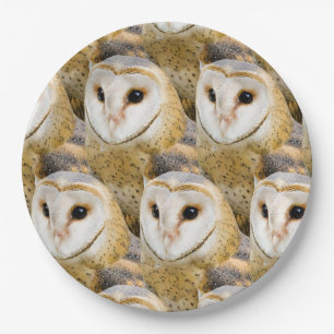 Barn Owl Faces Papieren Bordje