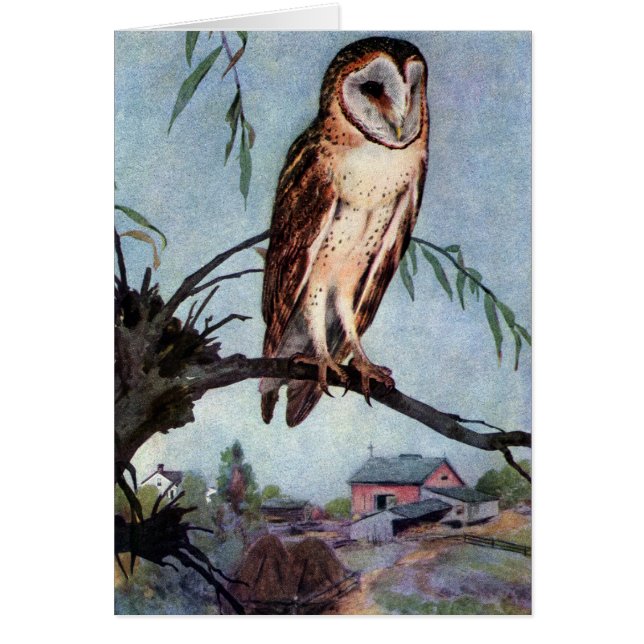 Barn Owl, Farmhouse en Barn (Voorkant)