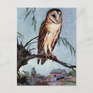 Barn Owl, Farmhouse en Barn Briefkaart
