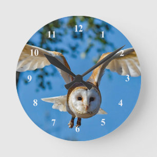 Barn Owl Flight Photo Ronde Klok