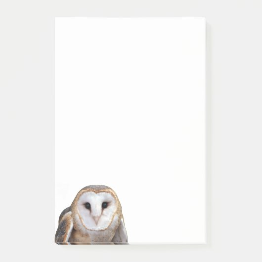Barn Owl Foto 4x6 Notities Stationery Post-it® Notes (Voorkant)