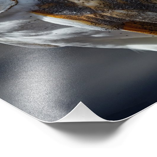 Barn Owl Foto Afdruk (Hoek)