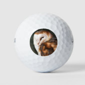 BARN OWL GOLFBALLEN (Voorkant)