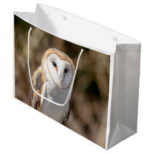 Barn Owl Groot Cadeauzakje