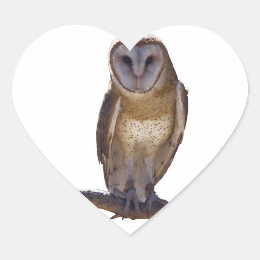 Barn Owl Hart Sticker (Voorkant)