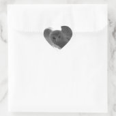 Barn Owl Hart Sticker (Tas)