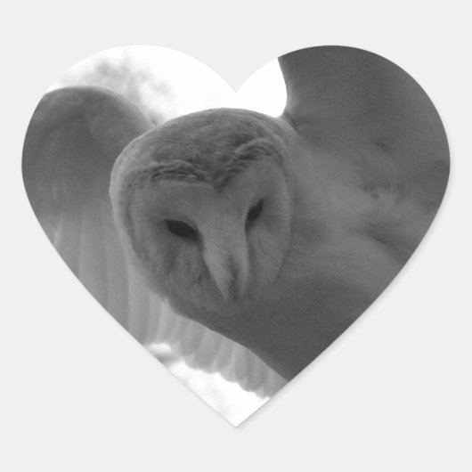 Barn Owl Hart Sticker (Voorkant)