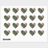 Barn Owl Hart Sticker (Vel)