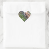 Barn Owl Hart Sticker (Tas)