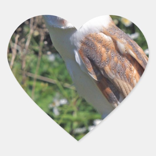 Barn Owl Hart Sticker (Voorkant)