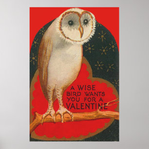 Barn Owl Heart Tree Stars Valentijn Poster