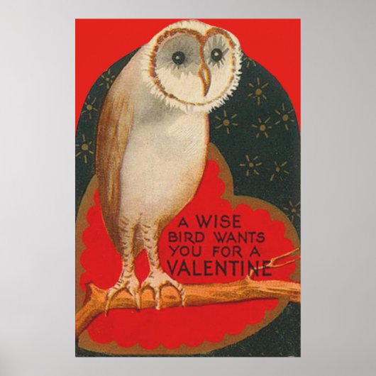 Barn Owl Heart Tree Stars Valentijn Poster (Voorkant)