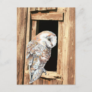 Barn owl in Barn Window Animal Natuur Art Briefkaart