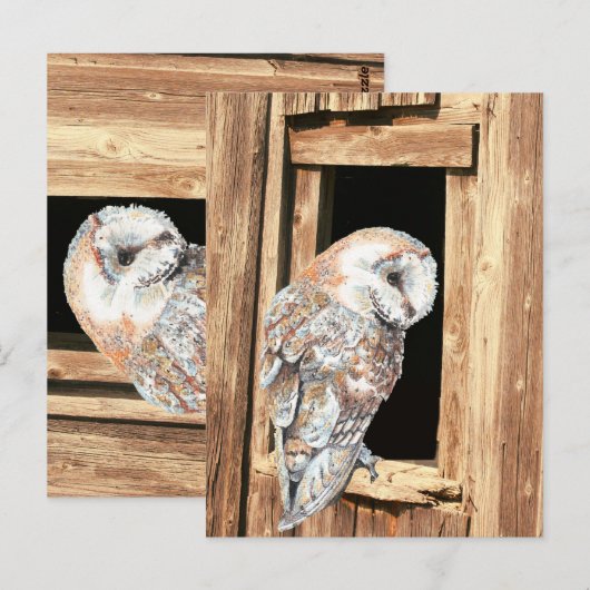 Barn owl in Barn Window Animal Natuur Art Briefkaart (Voorkant / Achterkant)