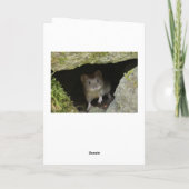 Barn owl in de sneeuw kaart (Achterkant)