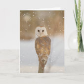 Barn owl in de sneeuw kaart (Voorkant)