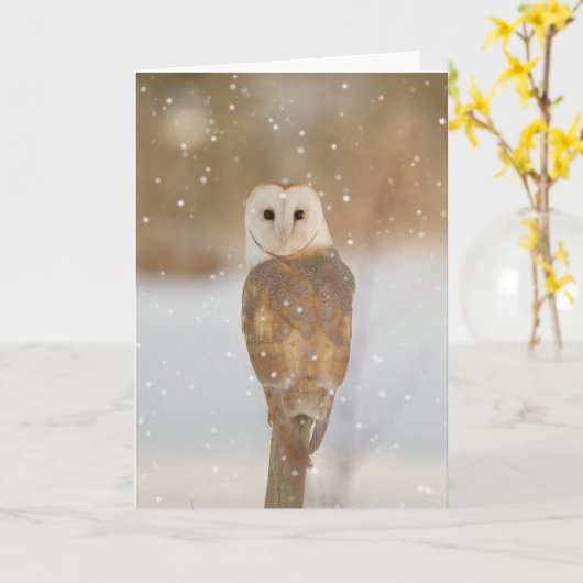 Barn owl in de sneeuw kaart (Gele Bloem)
