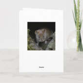 Barn owl in eiken boomstam kaart (Achterkant)