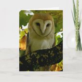 Barn owl in eiken boomstam kaart (Voorkant)