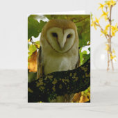 Barn owl in eiken boomstam kaart (Gele Bloem)