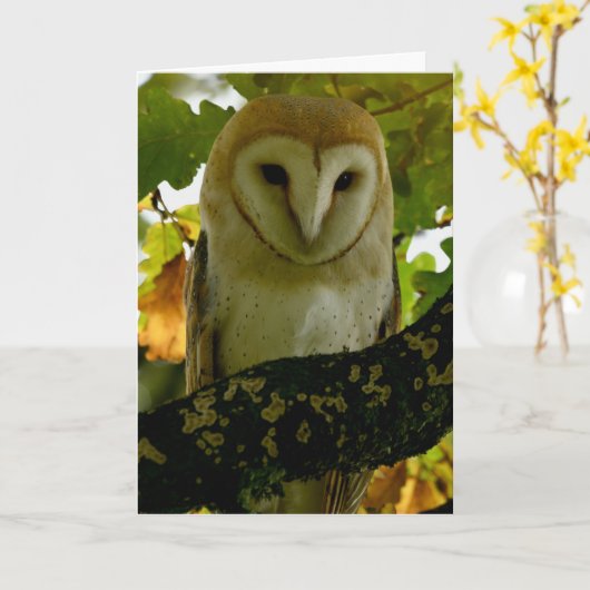 Barn owl in eiken boomstam kaart (Gele Bloem)