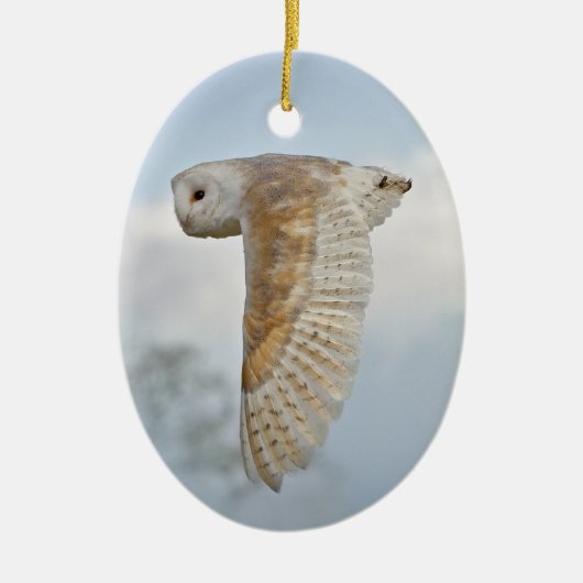 Barn Owl in Flight Ornament (Voorkant)