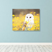 Barn Owl in Geel Veldveld Canvas Afdruk (Insitu (Houten vloer))