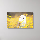 Barn Owl in Geel Veldveld Canvas Afdruk (Voorkant)