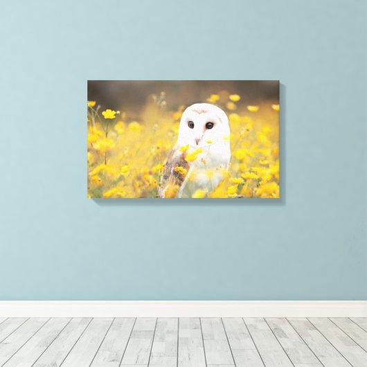 Barn Owl in Geel Veldveld Canvas Afdruk (Insitu (Houten vloer))