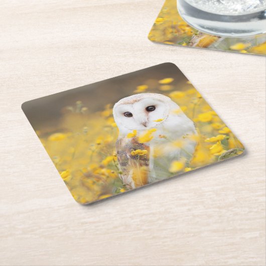 Barn Owl in Geel Veldveld Kartonnen Onderzetters (Schuin)