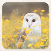 Barn Owl in Geel Veldveld Kartonnen Onderzetters (Voorkant)